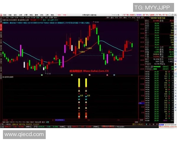 杭州极限运动队区域防守策略解析与热点趋势探讨