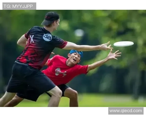 杭州飞盘队比赛经验分析与数据解读探讨