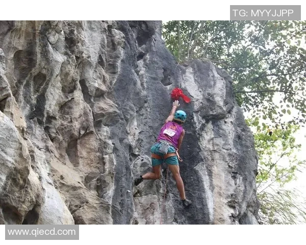 深圳攀岩队的速度之谜：探索攀岩巨献的背后故事与训练秘诀