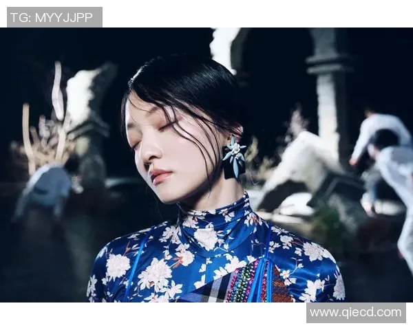 王岚：在音乐与人生的交汇点上绽放光彩的多才艺女歌手