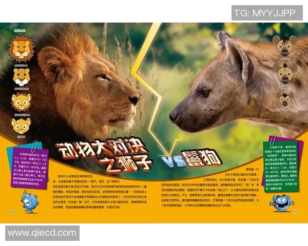 美洲狮与天鹅的奇妙对决：自然界中的力量与优雅之争