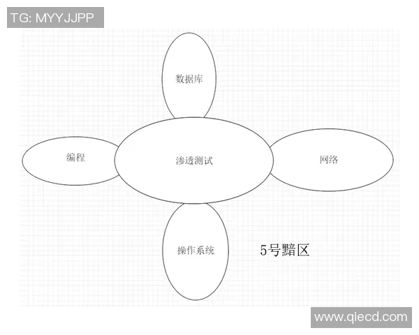 飞盘新手必看：从零基础到高手的全面提升指南