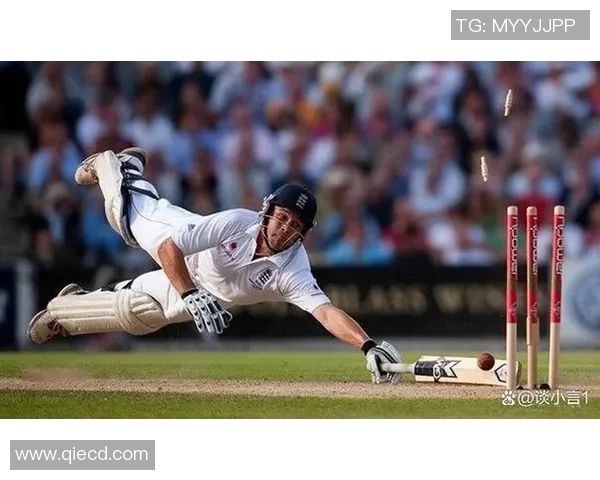 厄德高在国际舞台上的崛起与影响力分析：从球场到社会的多重角色