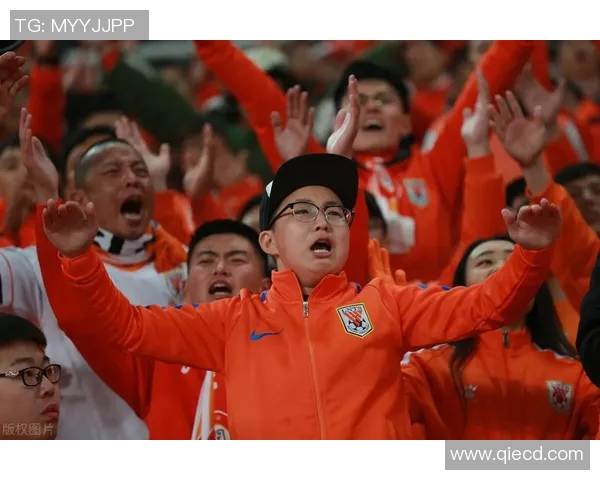 吉林与福建的对决引发热议球迷热情高涨期待精彩表现